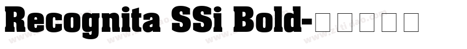 Recognita SSi Bold字体转换